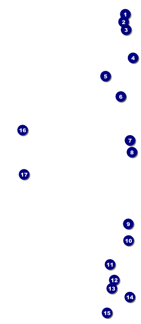 Fresno VIP Event Badge Large Front Field Markers