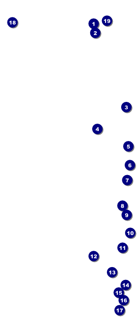 Football Purple VIP Event Badge Large Front Field Markers