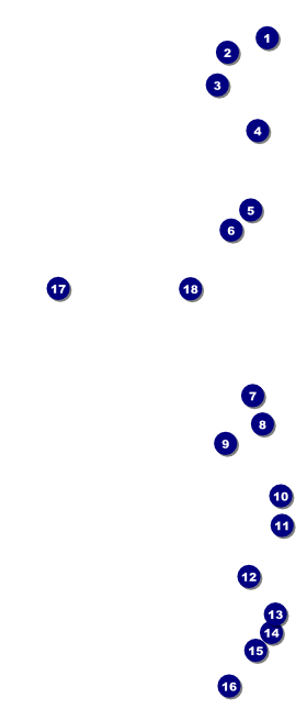 Hollywood Skyline VIP Event Badge Large Front Field Markers