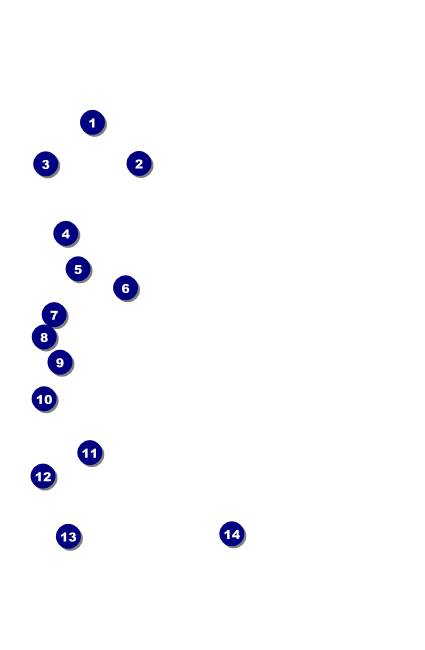 Military Ball - The Salute VIP Event Badge Small Front Field Markers