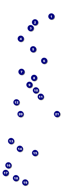 Autism Awareness VIP Event Badge Large Front Field Markers