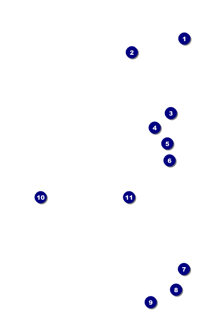 Birthday Geometric VIP Event Badge Small Front Field Markers