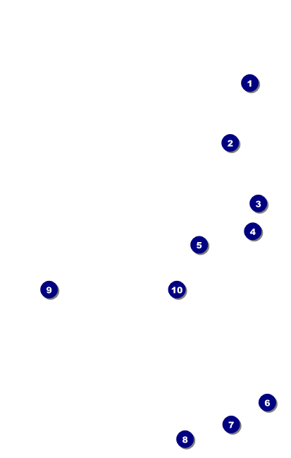 Book Fair VIP Event Badge Medium Front Field Markers