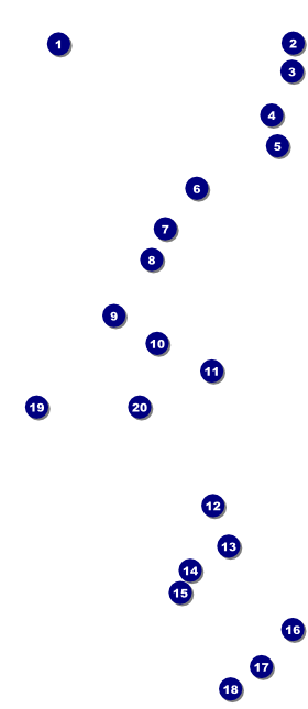 Boxing Gloves VIP Event Badge Large Front Field Markers