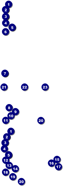 Lotus Flower Event Ticket Front Field Markers