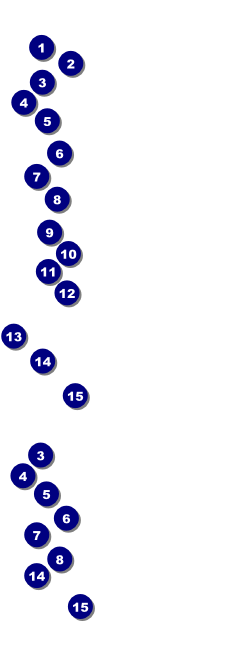 Rodeo Ticket 002 Front Field Markers