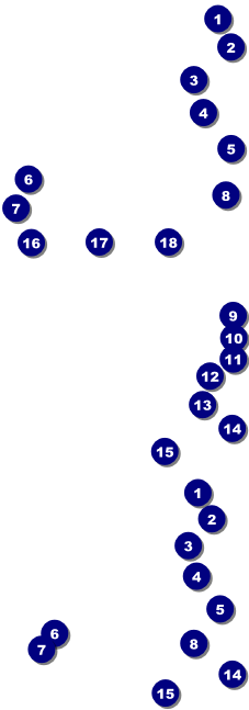 Polka Dot Cash Prize Raffle Ticket Front Field Markers