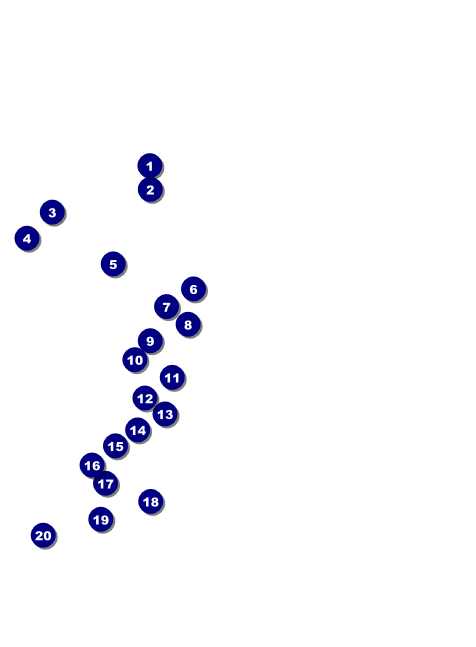 Virginia Invitation Front Field Markers