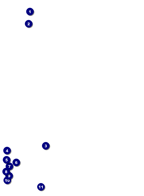 Night Club Neon Invitation Front Field Markers