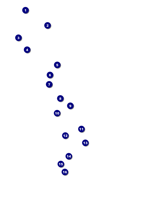 Cool Christmas Flyer 002 Front Field Markers