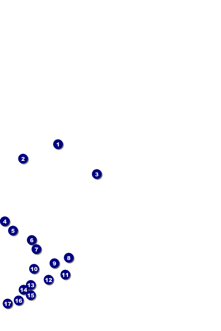 Bamboo Poster Front Field Markers