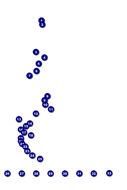 Irish Poster Front Field Markers