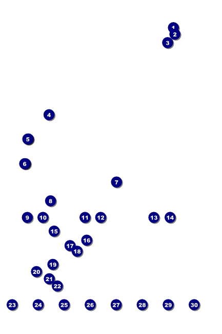 Swimming Logo Poster Front Field Markers