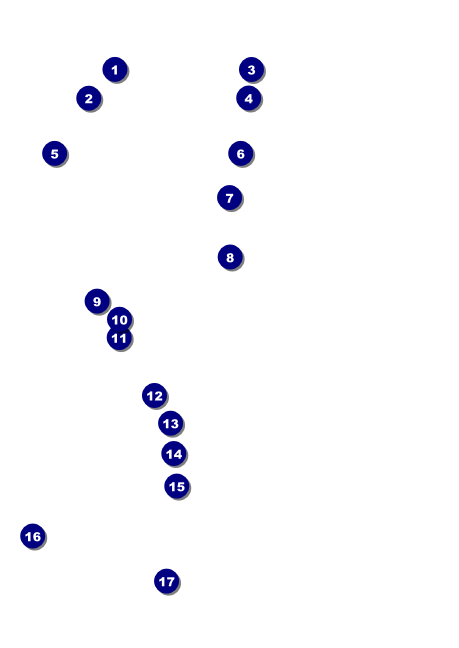 Roarings 20 Postcard Front Field Markers
