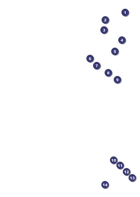 Denver Postcard Front Field Markers