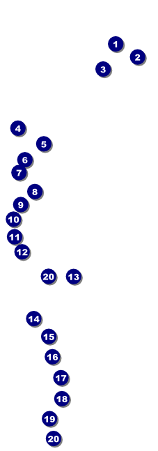 Fishing and Hunting Expo Raffle Ticket Front Field Markers