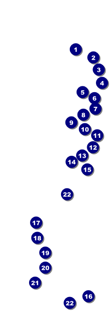 Dallas Western Raffle Ticket Front Field Markers
