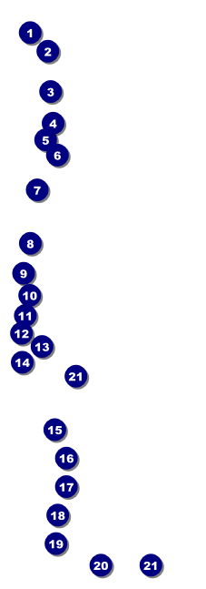 Fourth of July Freedom Blue Raffle Ticket Front Field Markers