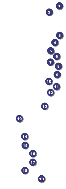 Sydney Raffle Ticket (Blue) Front Field Markers