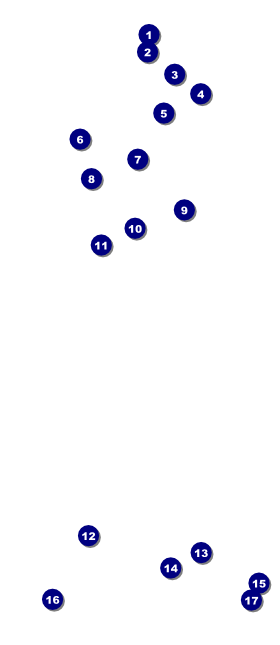 Nevada VIP Pass Front Field Markers