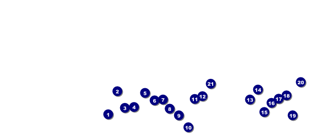 Trail Running Race VIP Pass Front Field Markers