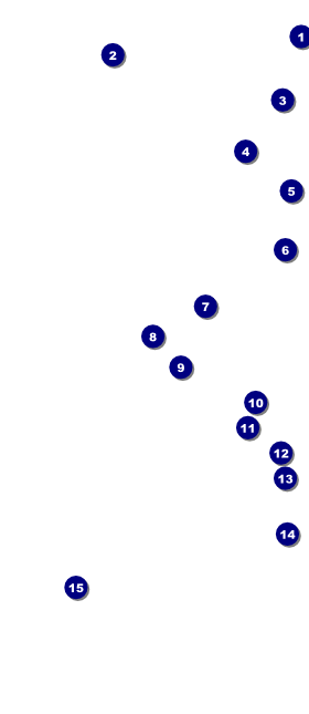 Earth Day Organic VIP Pass Front Field Markers