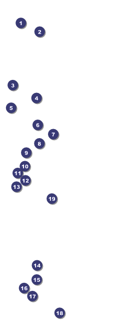 Sydney VIP Pass (Orange) Front Field Markers