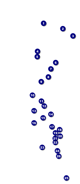San Diego VIP Pass Front Field Markers