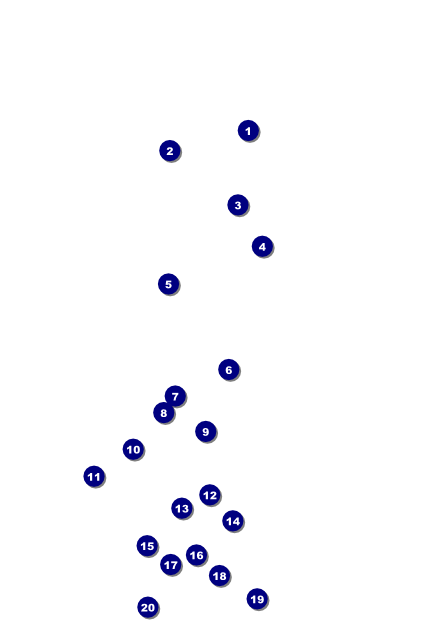 Soccer Stadium Poster Front Field Markers