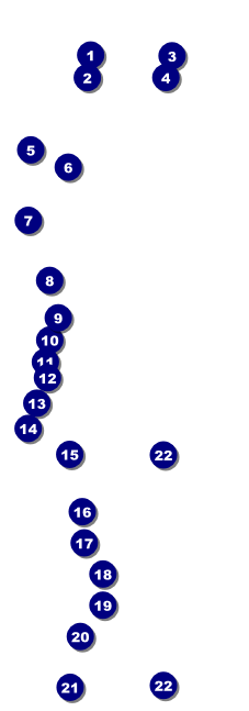 Sprint Car Racing Raffle Ticket Front Field Markers