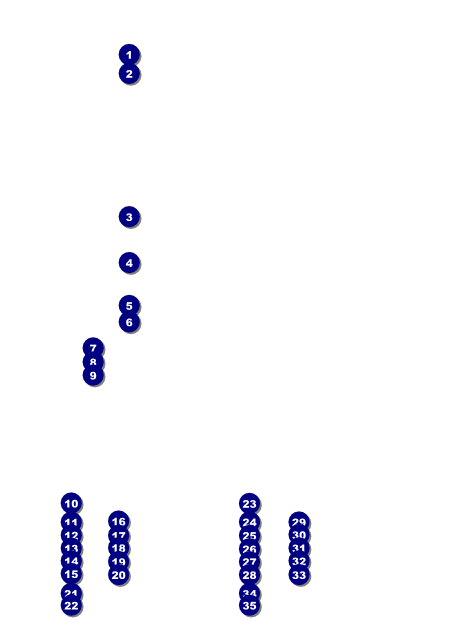Track and Field Flyer Front Field Markers