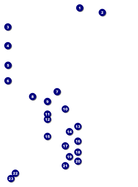 Africa Invitation Front Field Markers