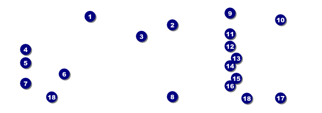 Animal Print Giraffe Event Ticket Front Field Markers