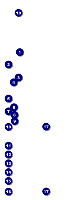 Happy Birthday Chevron Pink Raffle Ticket Front Field Markers