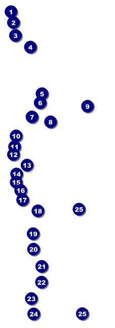 Gun Show Raffle Ticket Front Field Markers
