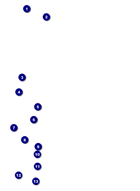 Midsummer Night's Dream Invitation Front Field Markers