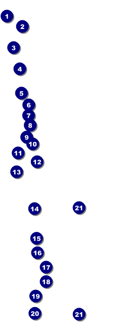 Book Fair Raffle Ticket Front Field Markers