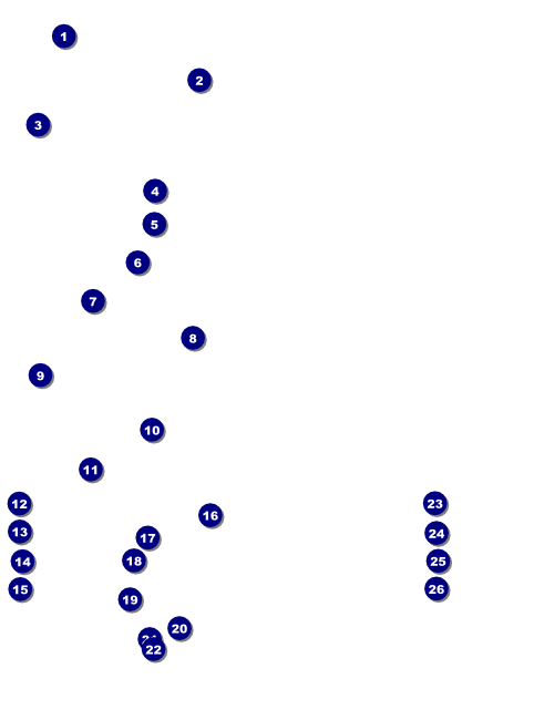Punk Rock Flyer Front Field Markers