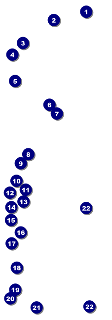 Christmas Carol Event Ticket Front Field Markers