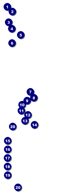 Cityscape Raffle Ticket Front Field Markers