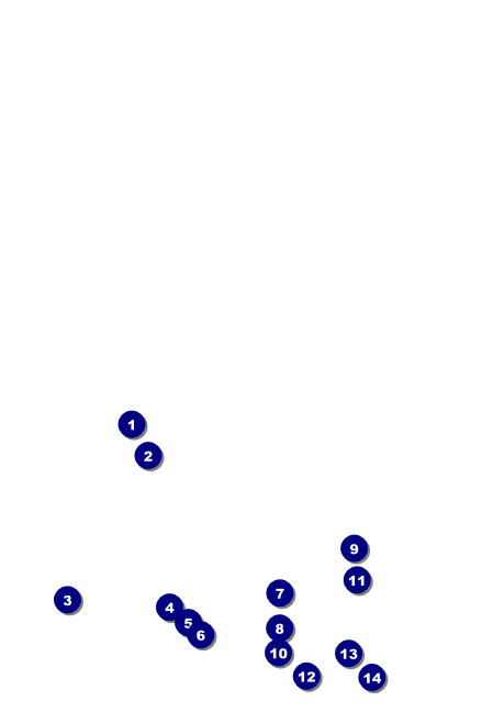 Dinosaur Postcard Front Field Markers