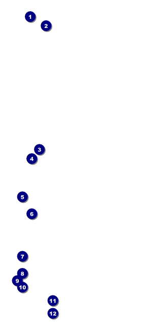 Science Fair VIP Pass Front Field Markers
