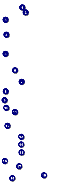 Music Festival VIP Pass Front Field Markers