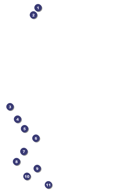 Skating Party Drink Ticket Front Field Markers
