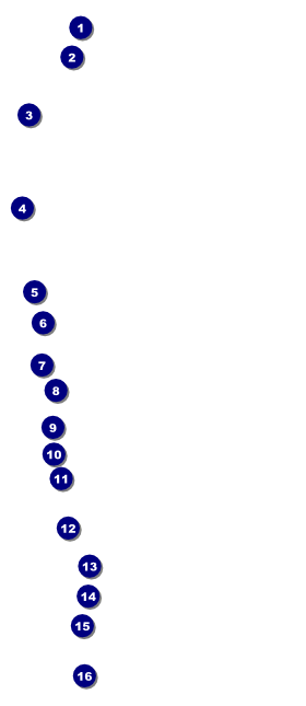 Tie Dye VIP Pass Front Field Markers