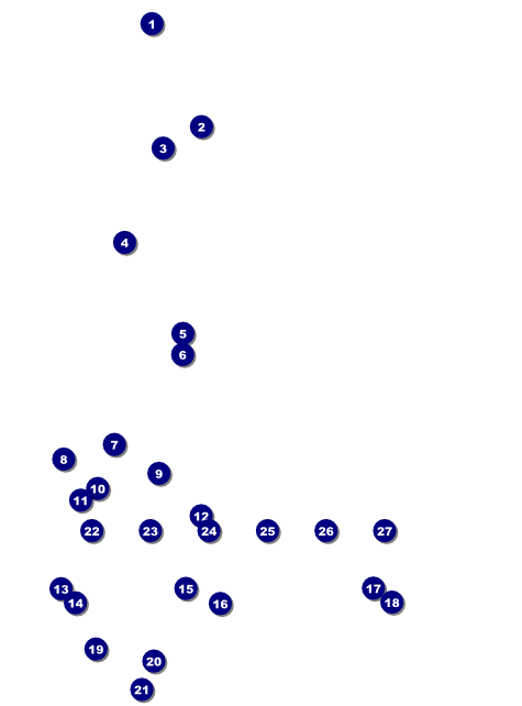 Diamonds Black Logo Flyer Front Field Markers