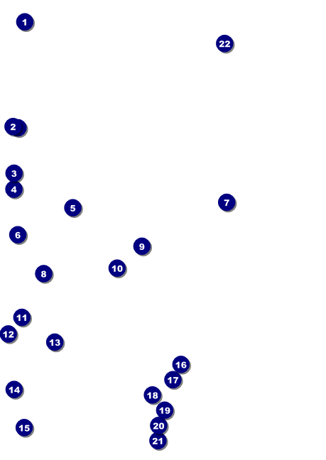Roller Derby Passing Star Club Flyer Front Field Markers